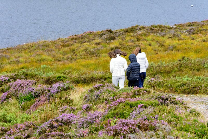 Lago Tollie in Wester Ross, Scozia immagine stock libera da diritti Lago Tollie in Wester Ross, Scozia immagine stock libera da diritti