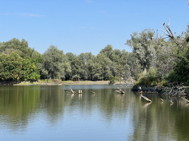 Lake Veliki Sakadas and floodplain forests, Kopacki rit Nature Park - Kopacevo, Croatia / Jezero Veliki Sakadaš i poplavne šume, Park prirode Kopački rit - Kopačevo, Hrvatska. Lake Veliki Sakadas and floodplain forests, Kopacki rit Nature Park - Kopacevo, Croatia / Jezero Veliki Sakadaš i poplavne šume, Park prirode Kopački rit - Kopačevo, Hrvatska