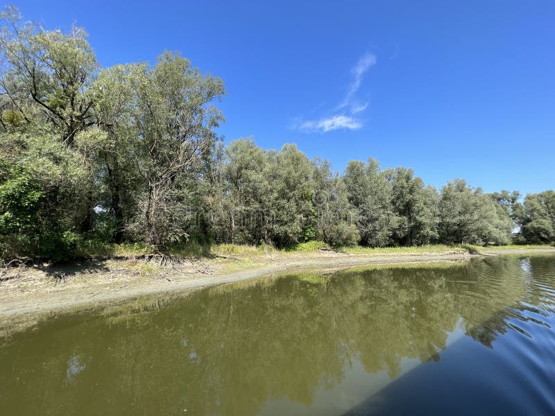 Lake Veliki Sakadas and floodplain forests, Kopacki rit Nature Park - Kopacevo, Croatia / Jezero Veliki Sakadaš i poplavne šume, Park prirode Kopački rit - Kopačevo, Hrvatska. Lake Veliki Sakadas and floodplain forests, Kopacki rit Nature Park - Kopacevo, Croatia / Jezero Veliki Sakadaš i poplavne šume, Park prirode Kopački rit - Kopačevo, Hrvatska