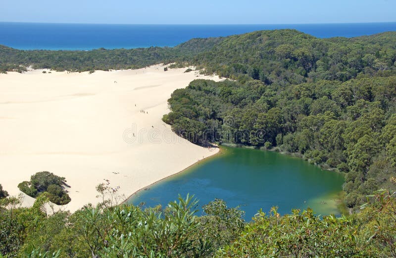 Lago Wabby, isola di Fraser, Australia fotografia stock libera da diritti Lago Wabby, isola di Fraser, Australia fotografia stock libera da diritti