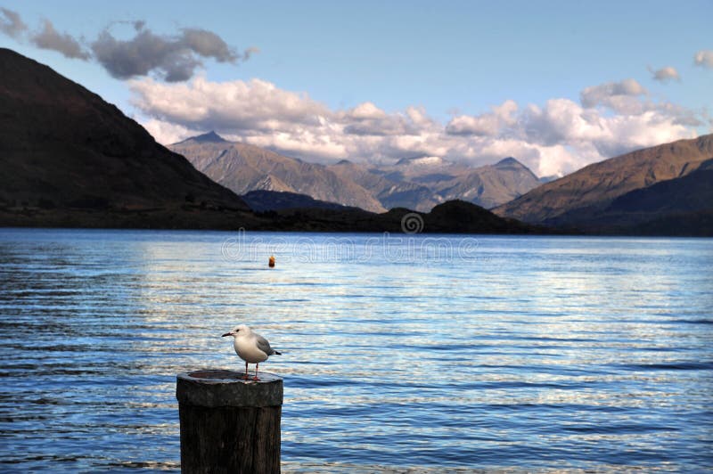 Lago Wanaka Nuova Zelanda immagini stock libere da diritti Lago Wanaka Nuova Zelanda immagini stock libere da diritti