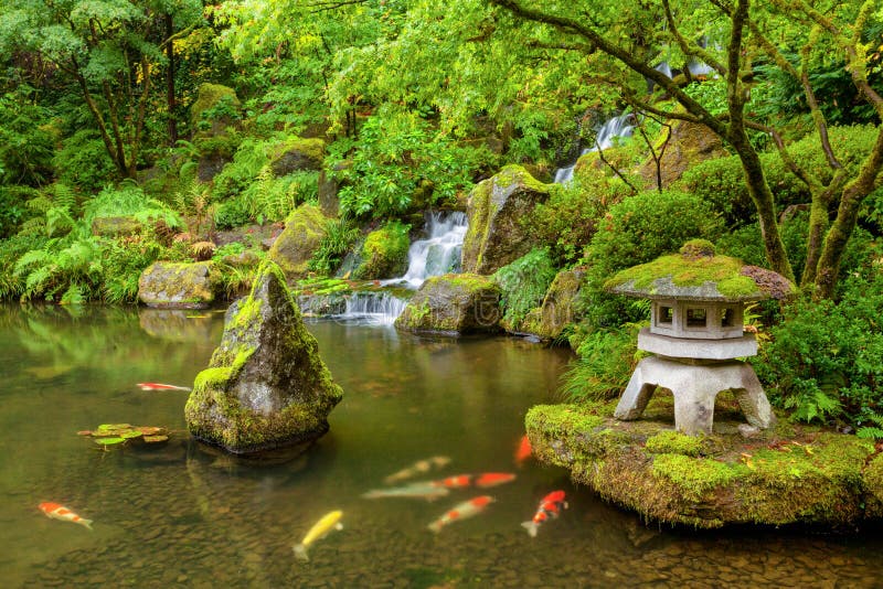 Lagoa japonesa do jardim de Portland com peixes do koi