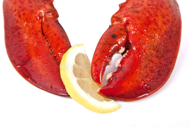 Lagosta Cozida fotografia de stock