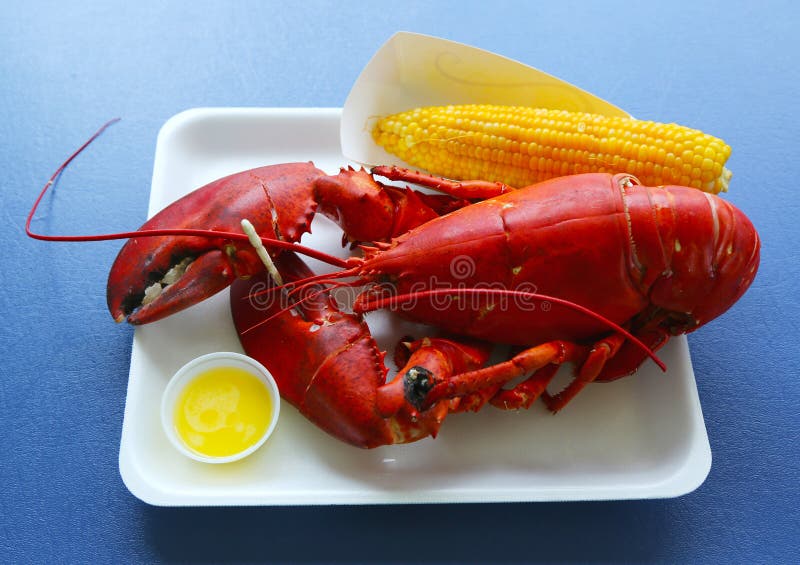 Boiled Maine lobster with corn in Bar Harbor. Boiled Maine lobster with corn in Bar Harbor