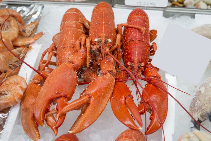 Lagostas inteiras no gelo imagem de stock royalty free
