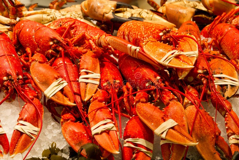 Lagostas inteiras vermelhas imagens de stock royalty free