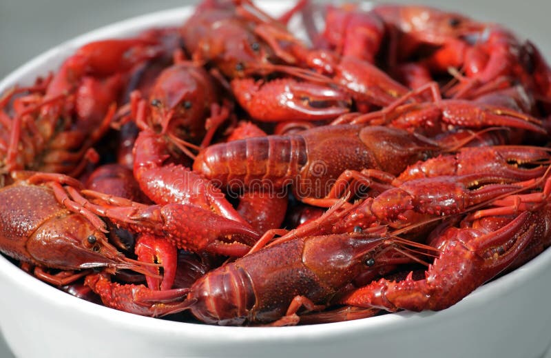 Photo of Boiled red crawfish on a plate. Photo of Boiled red crawfish on a plate