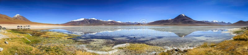Laguna Blanca Reflections Panorama, Altiplano, Bolivië, stock foto Laguna Blanca Reflections Panorama, Altiplano, Bolivië, stock foto