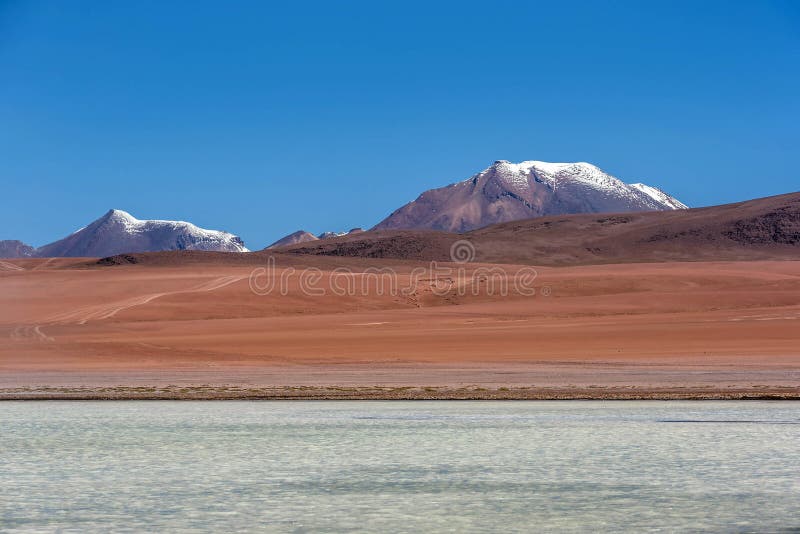 Laguna Canapa i Altiplano en salt sjö, Bolivia arkivfoton Laguna Canapa i Altiplano en salt sjö, Bolivia arkivfoton