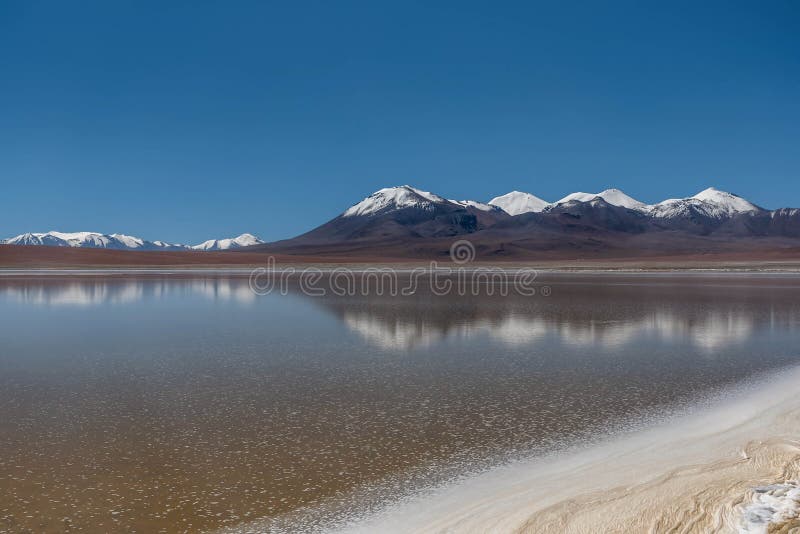 Laguna Canapa w Altiplano słone jezioro, Boliwia fotografia stock Laguna Canapa w Altiplano słone jezioro, Boliwia fotografia stock