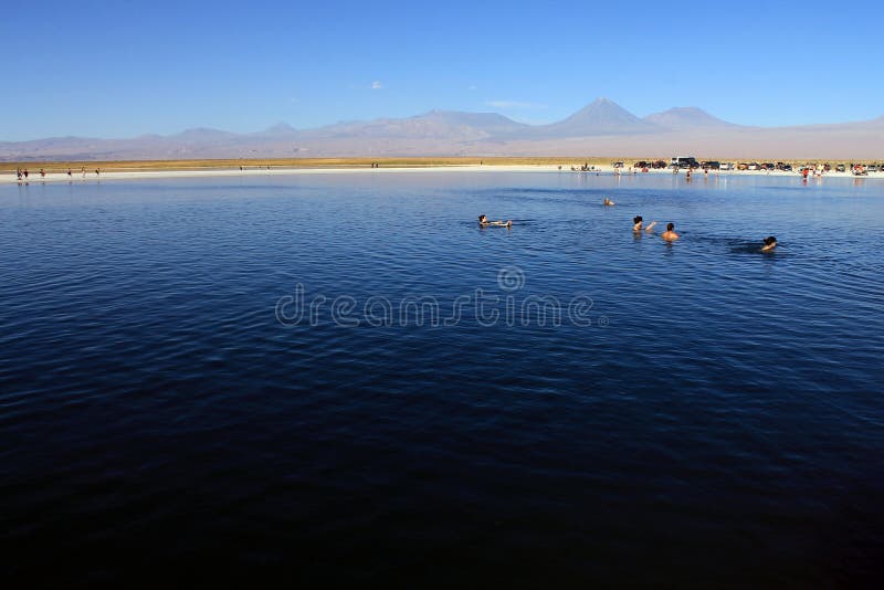 Laguna Cejar, чилеански стоковая фотография rf Laguna Cejar, чилеански стоковая фотография rf
