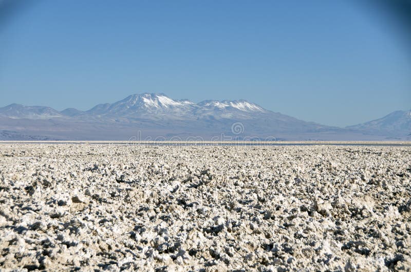 Laguna Chaxa, Chile