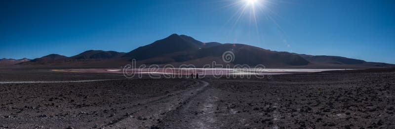 Laguna Colorada stockbilder Laguna Colorada stockbilder