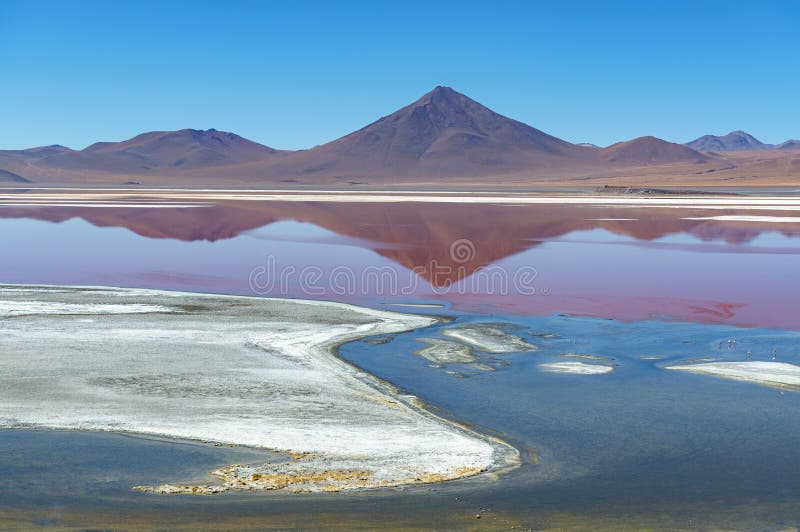 Laguna Colorada τοπίο στα βουνά των Άνδεων της Βολιβίας στοκ εικόνες με δικαίωμα ελεύθερης χρήσης Laguna Colorada τοπίο στα βουνά των Άνδεων της Βολιβίας στοκ εικόνες με δικαίωμα ελεύθερης χρήσης