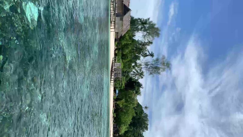 Laguna con chozas en playa oceánica en isla kaimana. vídeo vertical de mar turquesa y pintoresca estación tropical con bungalows almacen de video