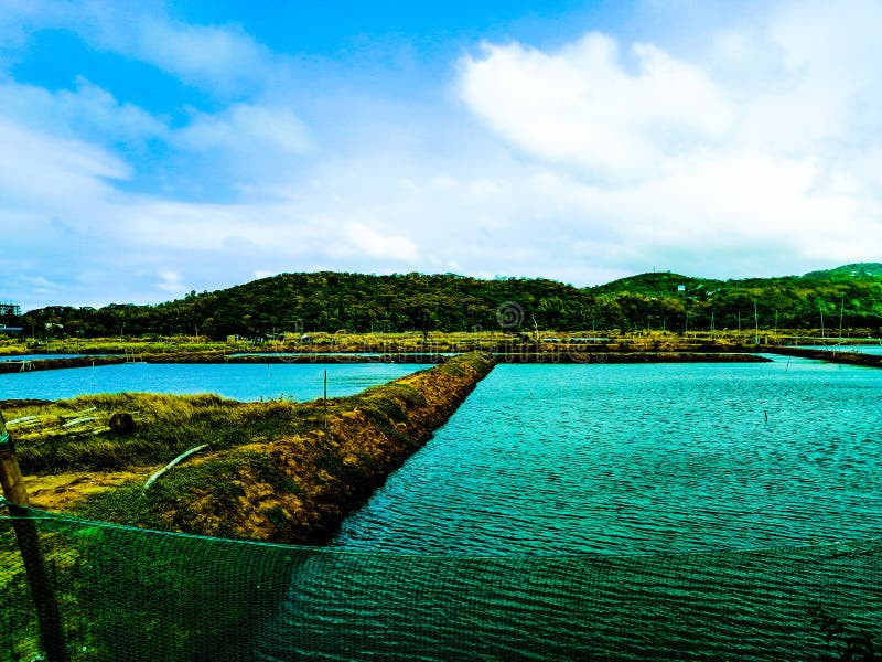 Laguna De Peces En Nasugbu Batangas Foto de archivo Imagen de agua
