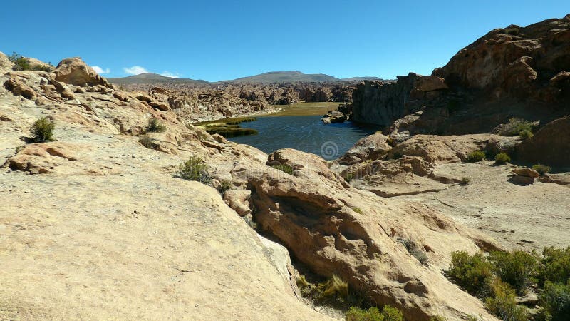 Laguna en Altiplano Bolivia, Suramérica imagen de archivo Laguna en Altiplano Bolivia, Suramérica imagen de archivo
