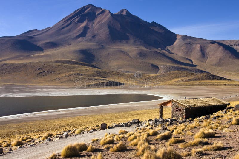 Laguna Miscanti - Andes Mountains - Atacama Desert royalty free stock image Laguna Miscanti - Andes Mountains - Atacama Desert royalty free stock image