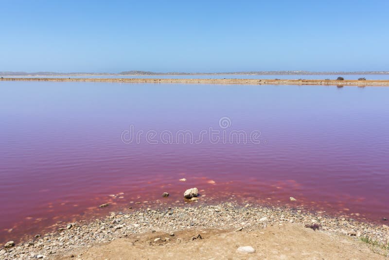 Laguna rosa della capanna del lago a porto Gregory, Australia occidentale, Australia fotografia stock libera da diritti Laguna rosa della capanna del lago a porto Gregory, Australia occidentale, Australia fotografia stock libera da diritti