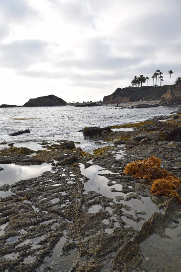 Low Tide At Laguna Beach At Cleo Street, Laguna Beach, California Stock
