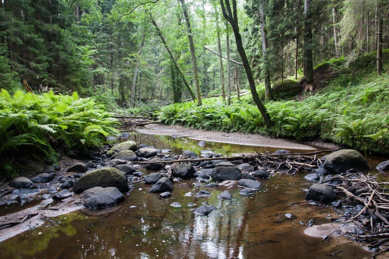 Lahemaa national park