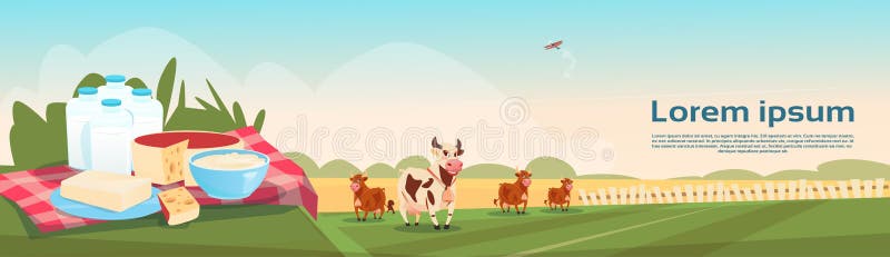 Laitages frais Eco de lait de vaches cultivant la bannière illustration de vecteur Laitages frais Eco de lait de vaches cultivant la bannière illustration de vecteur