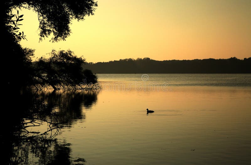 Sunrise at Reed s Lake 1 stock photo. Image of summer, water 9840