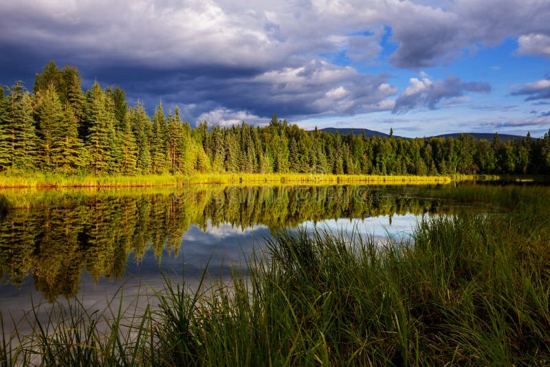 Lake in Alaska stock photo. Image of outdoor, pristine 95058140