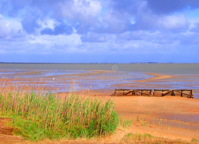 Reeds Lake Albert Stock Photos Free & RoyaltyFree Stock Photos from