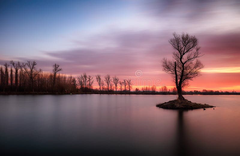 Lake with alone tree at dramatic sunset