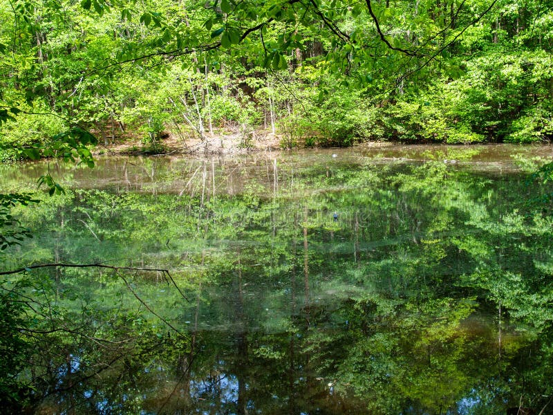 Lake along Reynolda Village Loop Trail