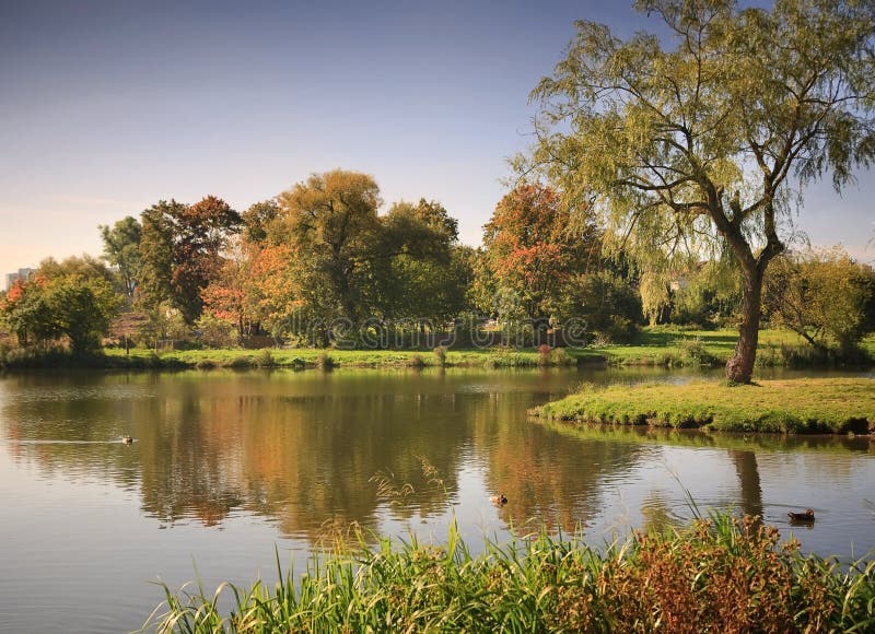 Lake in the autumnal park