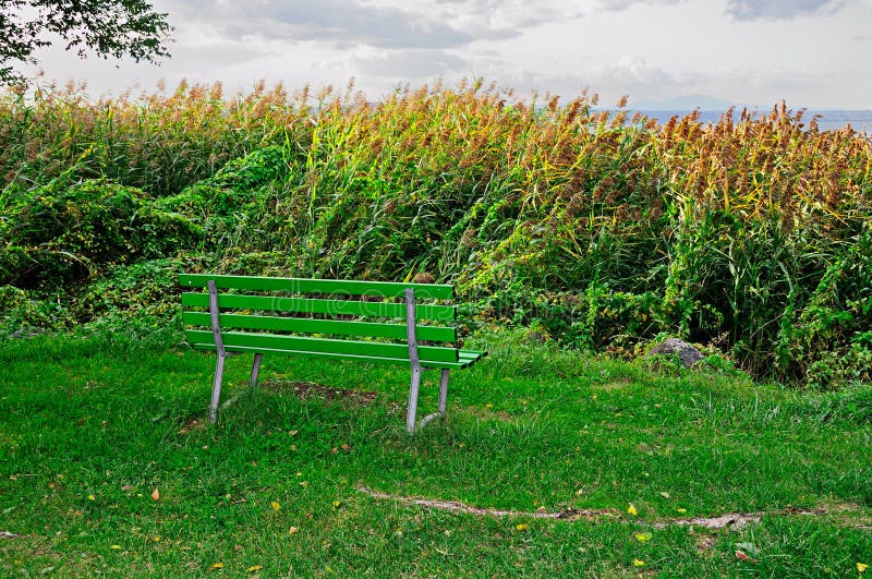 Lake Bench