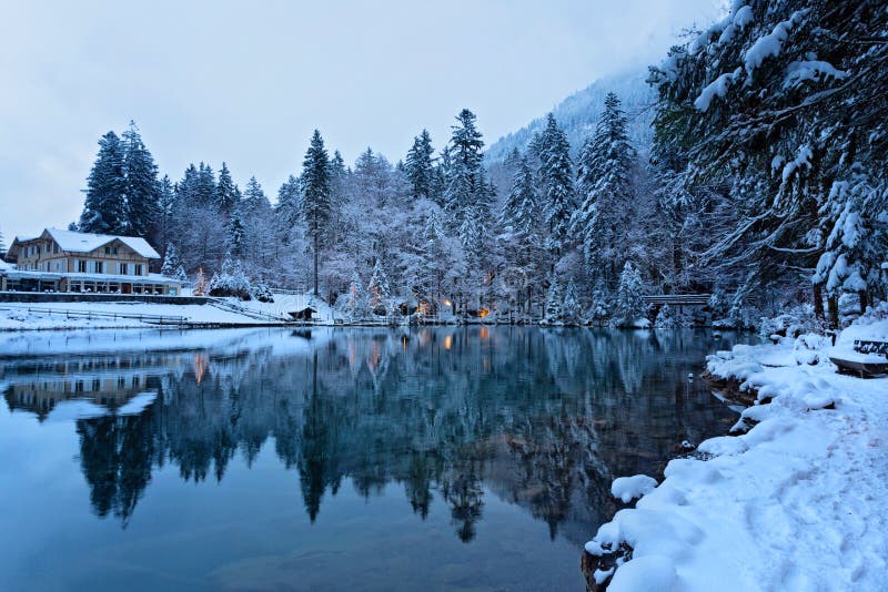 Lake Blausee at Winter, Switzerland Stock Image - Image of blausee ...