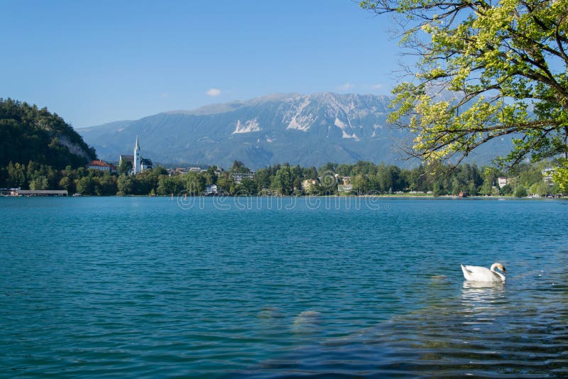Lake Bled Slovenia. Beautiful mountain lake with small Pilgrimage Church stock images Lake Bled Slovenia. Beautiful mountain lake with small Pilgrimage Church stock images