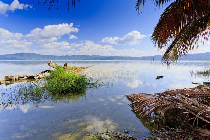 Lake Bosumtwe with palms stock photography