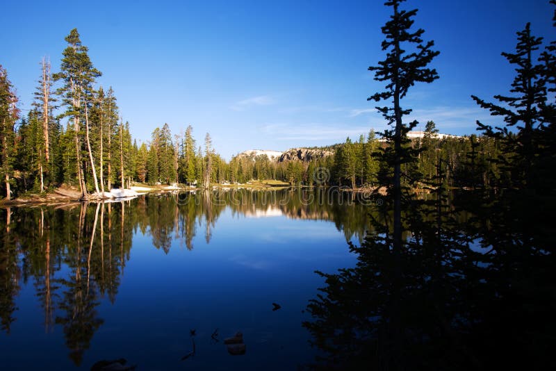 Lake Butterfly Utah stock photos