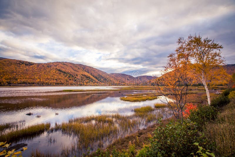 Lake in Cape Breton Nova Scotia Stock Image Image of cape, trail