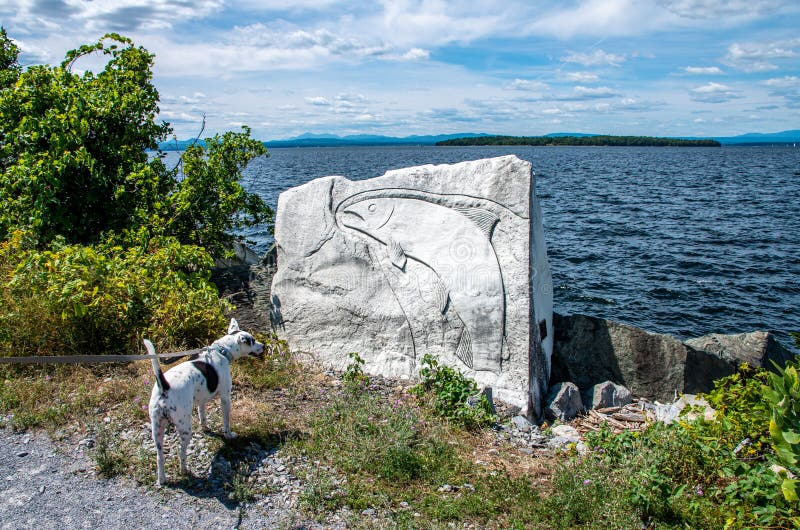 Lake Champlain from on a Trail Stock Photo Image of shore, hills