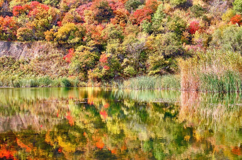 Lake Reflection Wood Forest Autumn Stock Photo Image Of Outdoor