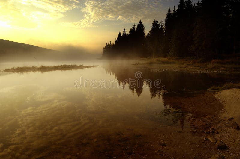 Lake in Deep Forest royalty free stock images