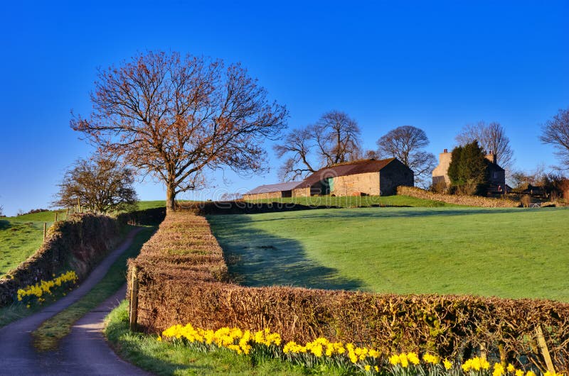 Lake District Farm stock photo. Image of outdoors, rustic 19285540
