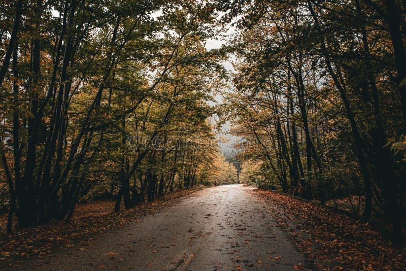 Lake doxa road autumn peloponese stock images