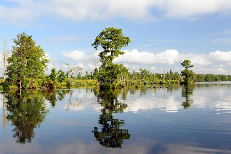 Lake Drummond 2