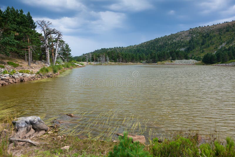 Lake of the ducks