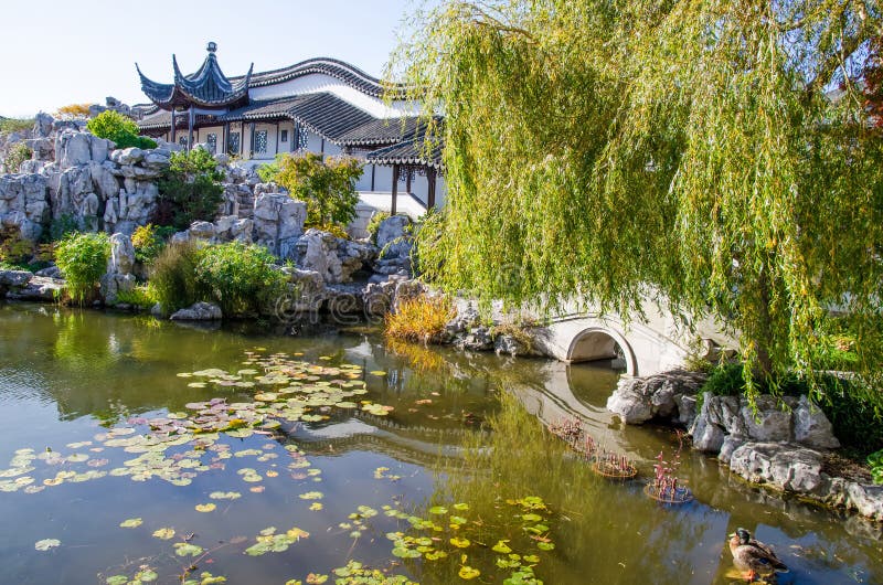 Lake of the Dunedin Chinese Garden in New  pic
