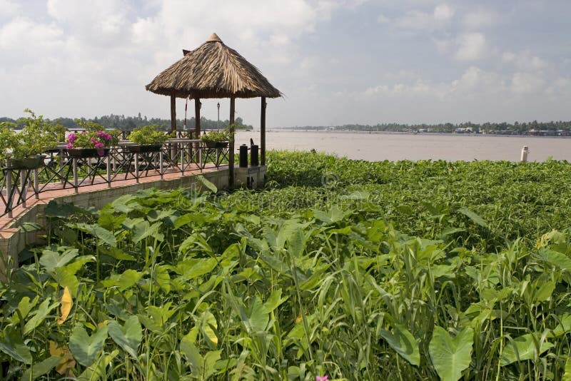 Lake-dwelling on the Mekong river, Vietnam