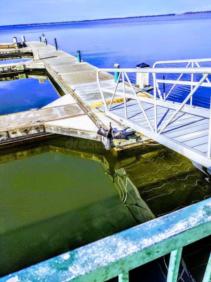 Lake Eustis stock photo. Image of eustis, lake, boat 176186720