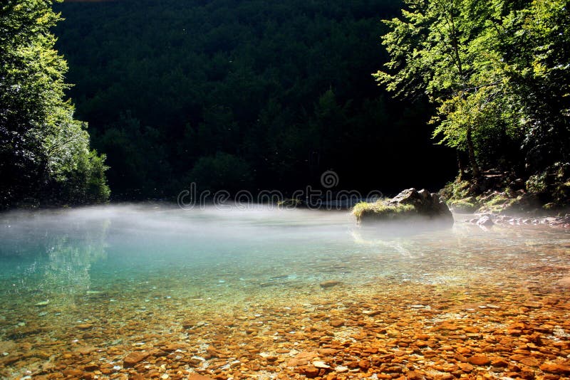 Lake eye stock image. Image of stones, trees, drinking 26568883