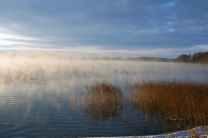 A lake is in fog